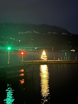 image1_256x300